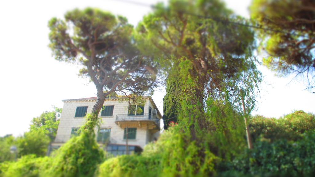 Appartement Surprise